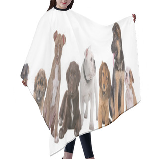 Personality  Large Group Of Puppies Hair Cutting Cape