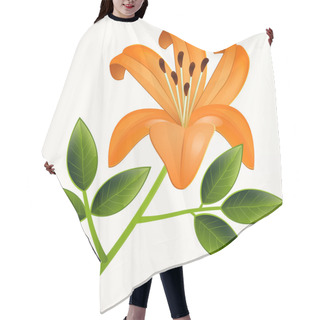 Personality  Vector Lily Flower. Vector Illustration. Hair Cutting Cape