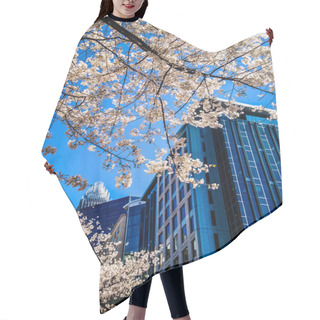 Personality  Blooming Tree Flowers In Spring In The City Hair Cutting Cape