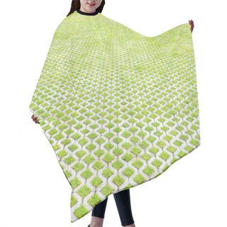 Personality  Eco-friendly Parking Hair Cutting Cape