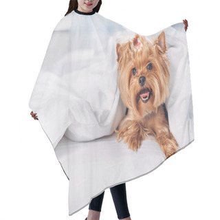 Personality  Dog Hair Cutting Cape