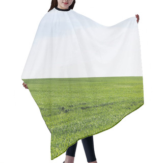 Personality  Green Grass On Field Against Cloudy Sky  Hair Cutting Cape