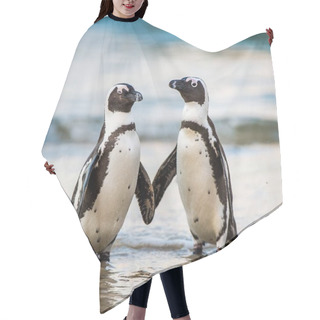 Personality  African Penguins Walking Out Of Ocean  Hair Cutting Cape