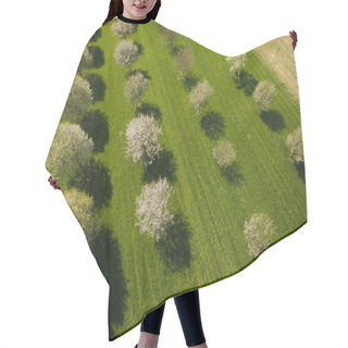 Personality  Green Hair Cutting Cape