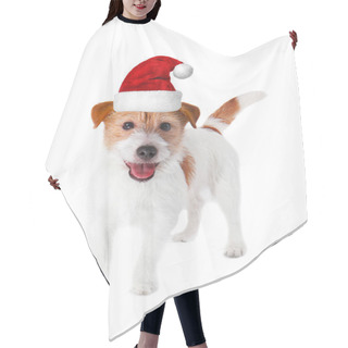 Personality  Dog In Santa Hat Hair Cutting Cape
