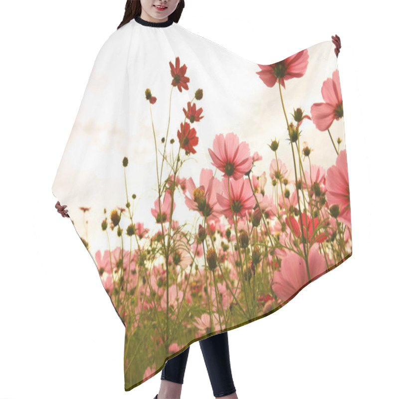 Personality  Cosmos Flowers In Sunset Hair Cutting Cape
