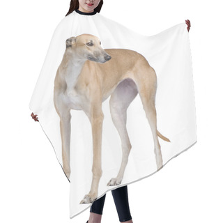 Personality  Greyhound Hair Cutting Cape