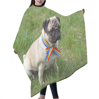 Personality  Pug Dog With Rainbow LGBT Ribbon Tape On His Neck Sits On Green Grass. Concept Of Gratitude To Medical Personnel For Their Fight Against The Coronavirus Pandemic Hair Cutting Cape