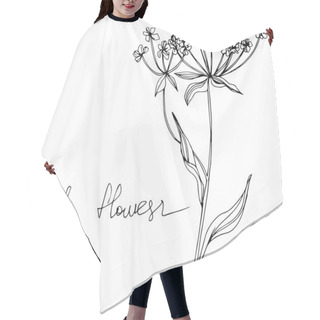 Personality  Vector Wildflowers Floral Botanical Flowers. Black And White Engraved Ink Art. Isolated Flowers Illustration Element. Hair Cutting Cape