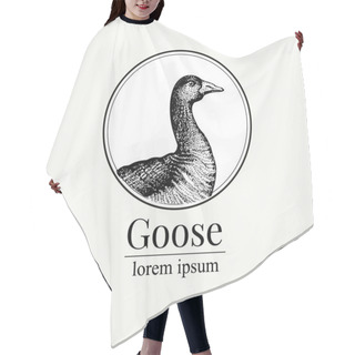 Personality  Vector Hand Drawn Goose Illustration. Retro Engraving Style. Sketch Farm Animal Drawing. Duck Logo Template. Hair Cutting Cape