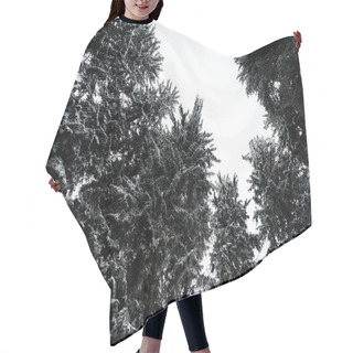 Personality  Bottom View Of Pine Trees Covered With Snow With White Pure Sky On Background Hair Cutting Cape