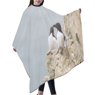 Personality  Seabirds Hair Cutting Cape