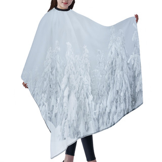 Personality  Blizzard Hair Cutting Cape