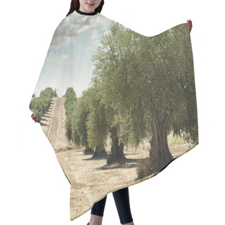 Personality  Olive Trees Hair Cutting Cape
