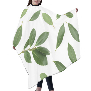 Personality  Laurel Isolated On White Background. Fresh Bay Leaves. Top View. Flat Lay Pattern Hair Cutting Cape