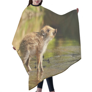 Personality  Little Piglet In Stream Hair Cutting Cape