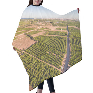 Personality  Aerial View Of Orange Fields In Valencia, Dusk Hair Cutting Cape