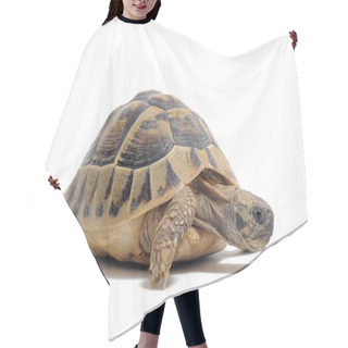 Personality  Tortoise Hair Cutting Cape
