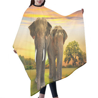 Personality  Elephants Family On Sunset Hair Cutting Cape