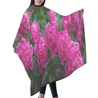 Personality  Flowering Peonies In The Garden Hair Cutting Cape