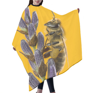 Personality  Honey Bee Foraging On A Lavander In Front Of An Orange Backgroun Hair Cutting Cape