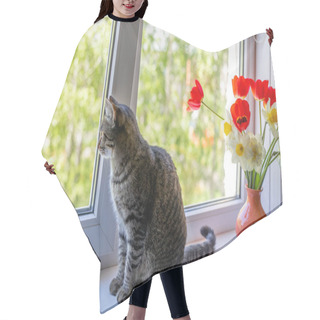 Personality  A Cat Sits On One Near Bright Red White And Yellow Flowers In A Vase. Outside The Window Is Green Foliage Of Trees. Sunlight Falls Through The Window Hair Cutting Cape