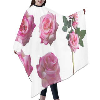 Personality  Four Pink Rose Flowers And Pink Rose Flowers Bouquet On White Background, Nature, Love, Valentine, Buddha Hair Cutting Cape