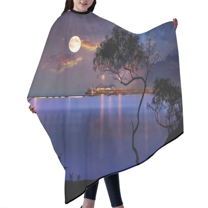 Personality  Blue Night Sky  In Harbor Plant Tree Silhouette Blurred Moonlight Light On Horizon Cruise Ship Light Reflection On Sea Water Wave Sky Sunset Hair Cutting Cape