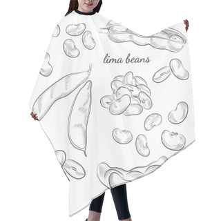 Personality  Lima Beans Hand Drawn Illustration. Hair Cutting Cape