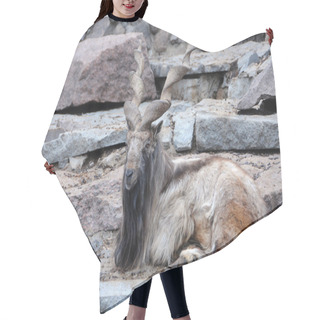 Personality  Markhoor Hair Cutting Cape