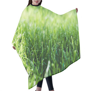 Personality  Grass Hair Cutting Cape