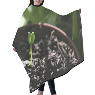 Personality  New Plant Hair Cutting Cape
