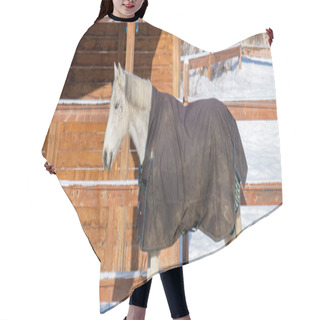 Personality  Horse At Snowy Farm Scene In Sunlight Hair Cutting Cape