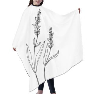 Personality  Vector Wildflower Floral Botanical Flowers. Black And White Engraved Ink Art. Isolated Wildflowers Illustration Element. Hair Cutting Cape