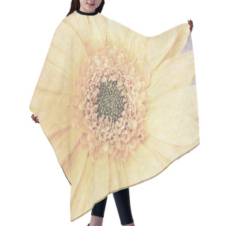 Personality  Pale Orange Gerbera Flowers In Soft And Blurred Style With Mulberry Paper Texture. Hair Cutting Cape