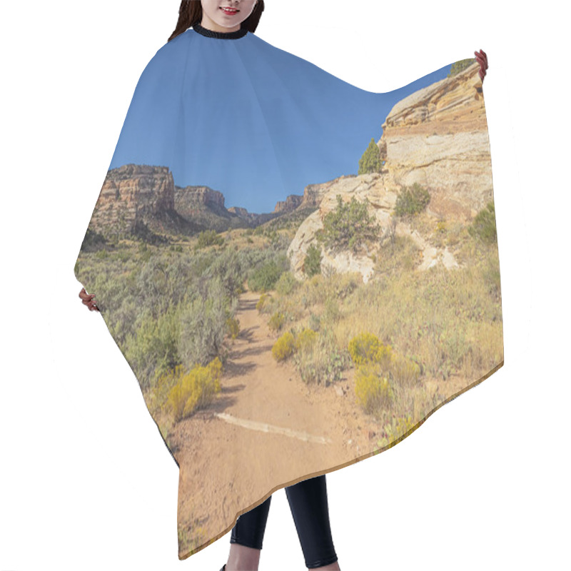 Personality  The Trail To Devil's Kitchen In The Colorado National Monument Hair Cutting Cape