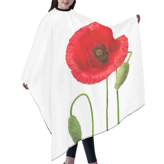 Personality  Poppy Hair Cutting Cape