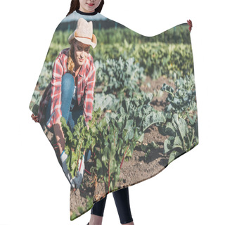 Personality  Farmer Harvesting Beets Hair Cutting Cape