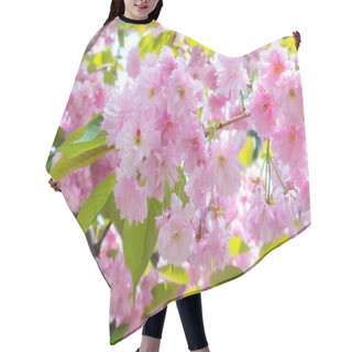 Personality  Sakura Blossom In The Garden / Park Hair Cutting Cape