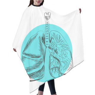 Personality  Drawn Vector Healthy Human Lungs In A Circle Hair Cutting Cape