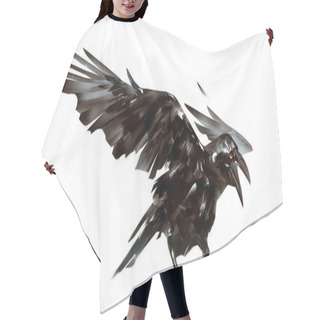 Personality  Drawn Isolated The Bird Raven On The Wing Hair Cutting Cape