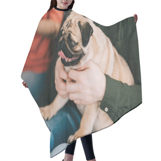 Personality  Selective Focus Of Cute Pug Dog In Hands Of Man Sitting Near Woman  Hair Cutting Cape
