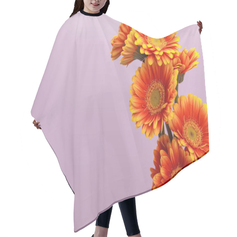 Personality  Orange Gerbera Flowers On Violet Background With Copy Space Hair Cutting Cape