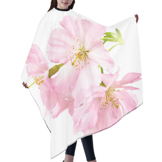 Personality  Cherry Blossoms Isolated On White Hair Cutting Cape