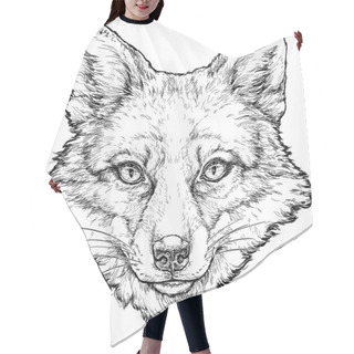 Personality  FOX Hand Drawn Vector Illustration Hair Cutting Cape