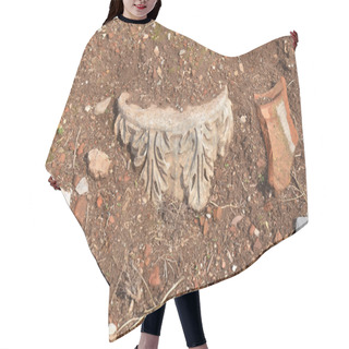 Personality  An Ancient Roman Column Hair Cutting Cape