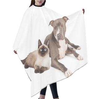 Personality  Pit Bull And Siamese Cat Hair Cutting Cape