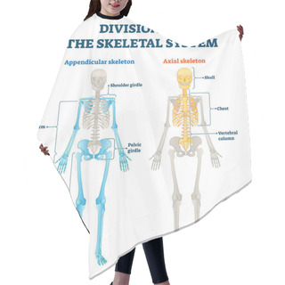 Personality  Divisions Of Appendicular And Axial Skeletal System Labeled Explanation. Hair Cutting Cape
