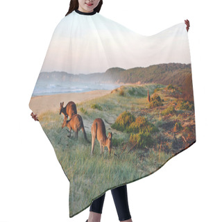 Personality  Kangaroos Grazing On The Beach Hair Cutting Cape