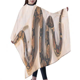 Personality  Top View Of Twisted Python On Sand, Panoramic Shot Hair Cutting Cape